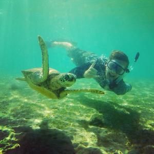 Meet your Posher, Noah